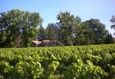 Others 7 Vineyard Villa Bed & Breakfast