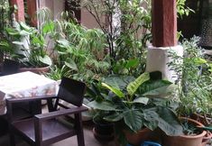 その他 4 Baan Songjum Homestay