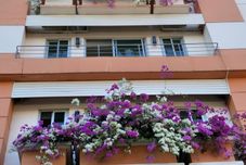 その他 Sandy Serviced Apartment