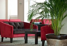 其他 3 Mg White Lilyum Hotel