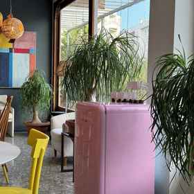 Primary image1Poniente Playa Aparthotel,埃斯特伦克斯飯店