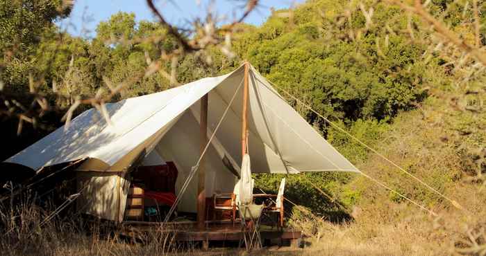 อื่นๆ Quatermain's 1920's Safari Camp - Amakhala Game Reserve