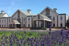 その他 Spa & Hotel Resort Furano La Terre