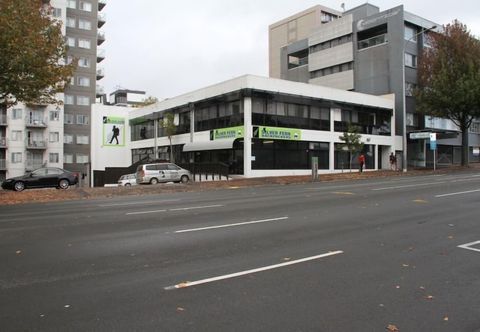 其他 Silverfern Backpackers