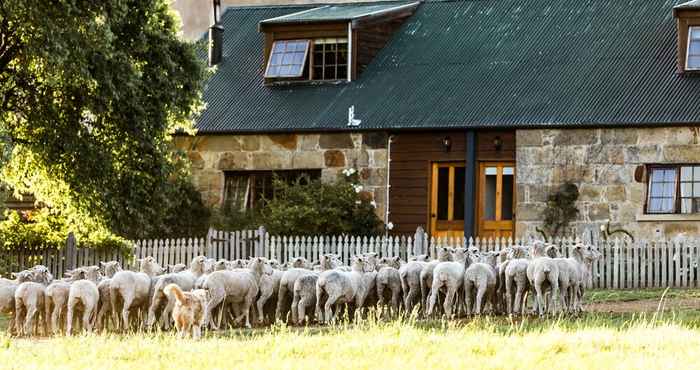 Lainnya Daisy Bank Cottages