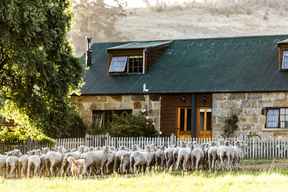 Daisy Bank Cottages