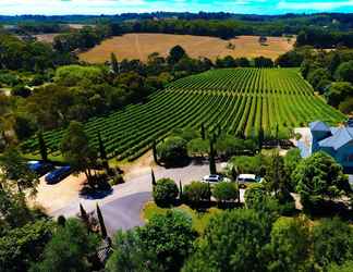 Khác 2 Morning Sun Vineyard