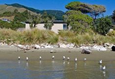 其他 6 Pohara Beach Top 10 Holiday