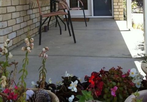 기타 Channel Views