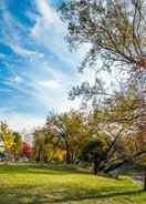 Primary image Discovery Parks - Mount Buffalo