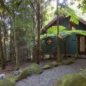 Primary image 1 春溪琴鸟度假屋, 黄金海岸 酒店