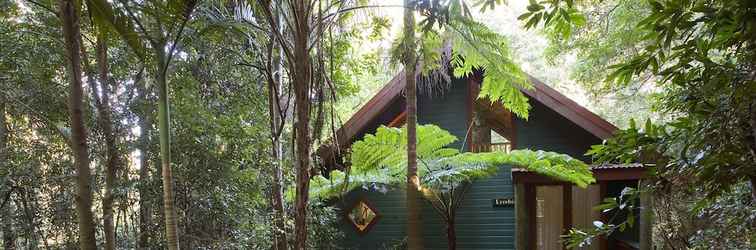 Lain-lain Springbrook Lyrebird Retreat