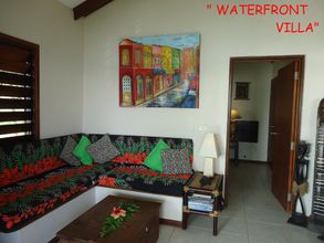 其他 4 Troppo Mystique