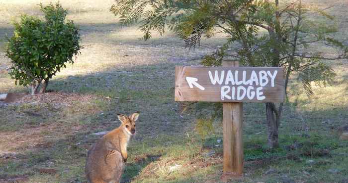 อื่นๆ Wallaby Ridge Retreat