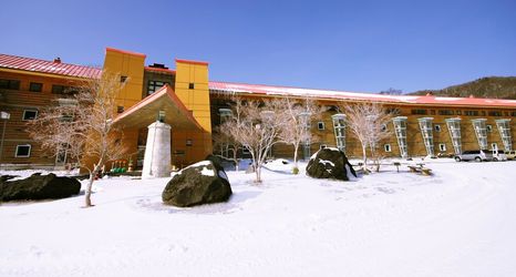 その他 2 Chuzenji Kanaya Hotel