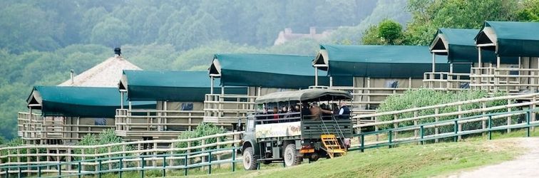 Others Port Lympne Reserve - Livingstone Lodge