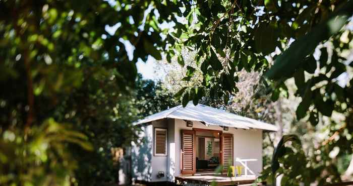 Others The Little Bush Hut