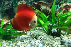 Lainnya Sunny A Hotel