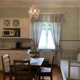 Primary image 1 Pension Amadeus, โรงแรม & ที่พัก Jihocesky kraj