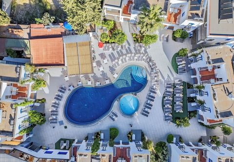 기타 Paloma Family Club