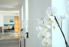 其他 3 Saraya Bodrum Hotel