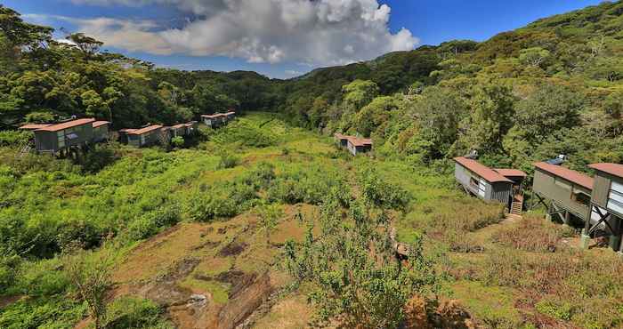 Others The Rainforest Ecolodge