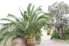 Lainnya Carnegie Motor Inn