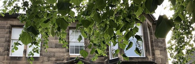 Others The Alba House