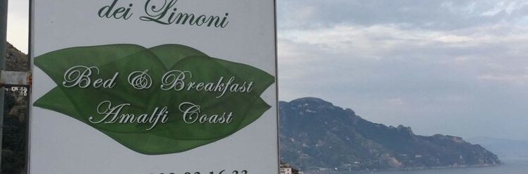 其他 L'Antico Borgo dei Limoni