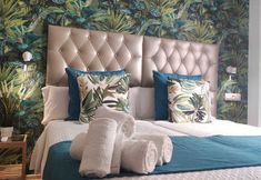 Others 6 Candisol Cozy Inns