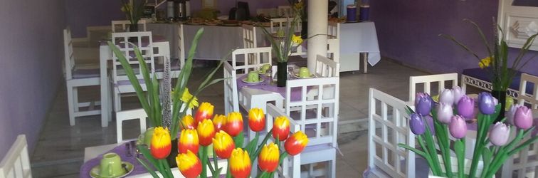 Others Hotel Pousada Papaya Verde