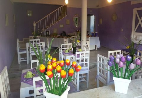 Others Hotel Pousada Papaya Verde