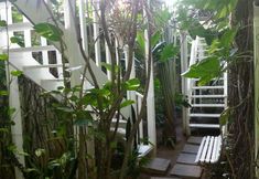 Others 7 Hotel Pousada Papaya Verde