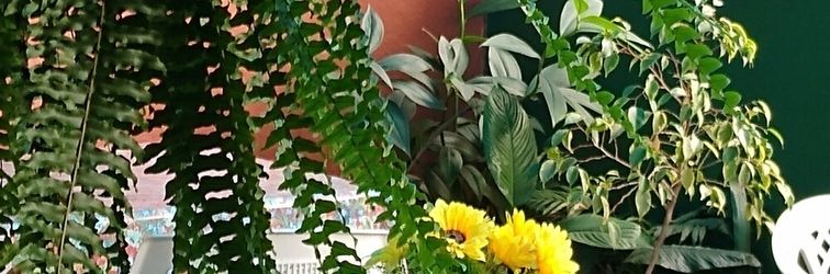 その他 Hostel FreeWay