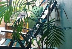 その他 7 Hostel FreeWay