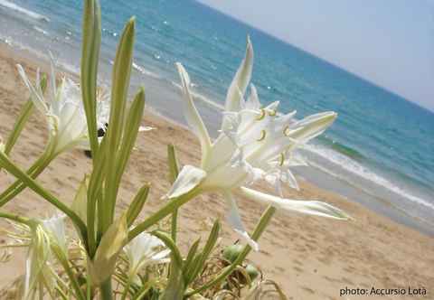 Khác Villa Fiori Beach