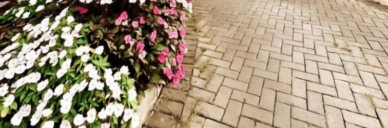 その他 Vida Plaza Hotel