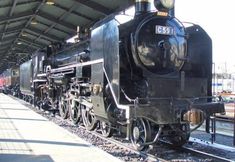 Others 7 Hotel Port Moji