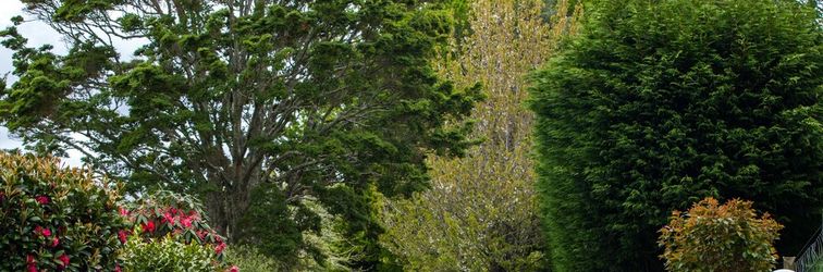 Lainnya Clover Downs