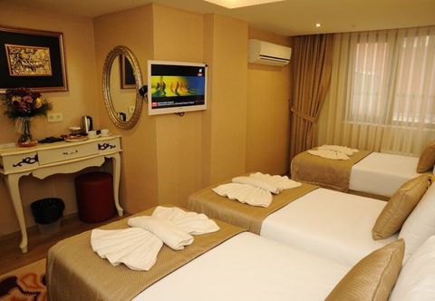 其他 Comfort Elite Hotel Sultanahmet