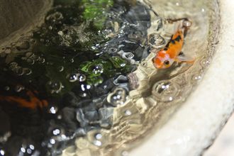 Others 4 Old Chocolate Factory+