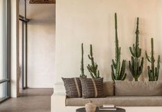 기타 4 Lindos Aqua Terra