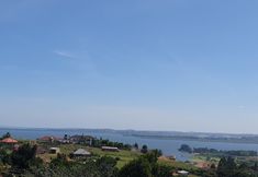 Others 2 Rosa Negra Kampala