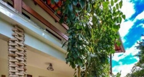 其他 2 Pousada Chez Max