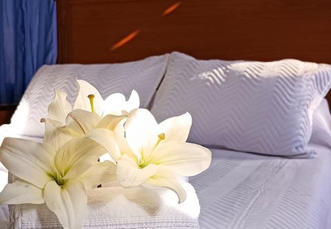 Lain-lain Elegance  Hotel