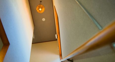 其他 2 root hakone