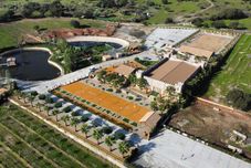 Lain-lain COMPLEJO RURAL LA PALOMA