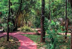 其他 3 El Leñador by DOT Cabana