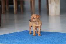 其他 Pousada Kasarão Praia Grande