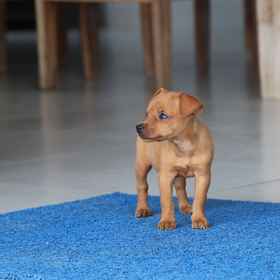 Lobby1Pousada Kasarão Praia Grande,乌巴图巴飯店